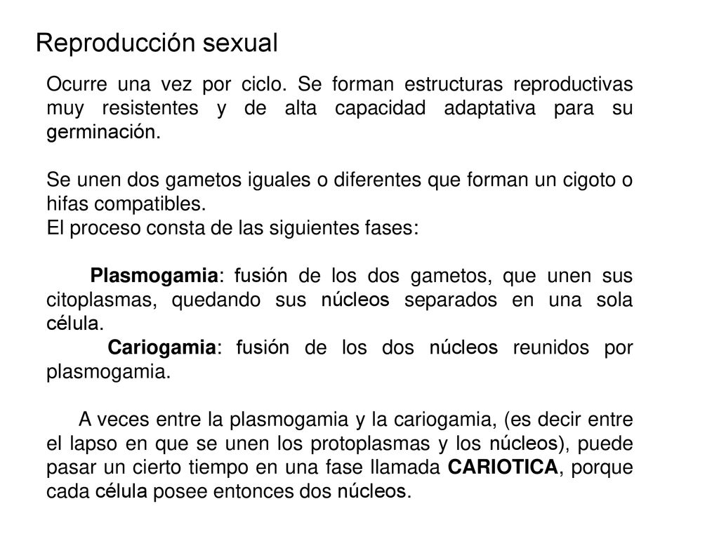 Reproducción sexual Ocurre una vez por ciclo. Se forman estructuras reproductivas muy resistentes y de alta capacidad adaptativa para su germinación.