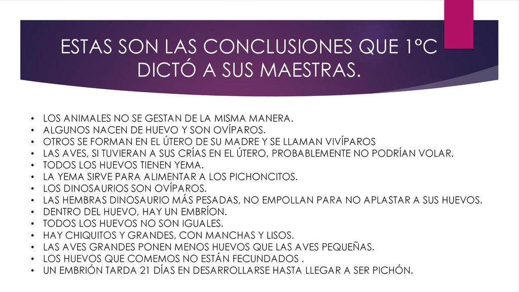 ESTAS SON LAS CONCLUSIONES QUE 1°C DICTÓ A SUS MAESTRAS.