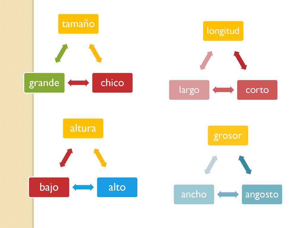 altura alto bajo tamaño chico grande grosor angosto ancho longitud