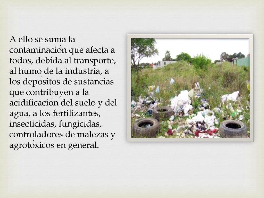 A ello se suma la contaminación que afecta a todos, debida al transporte, al humo de la industria, a los depósitos de sustancias que contribuyen a la acidificación del suelo y del agua, a los fertilizantes, insecticidas, fungicidas, controladores de malezas y agrotóxicos en general.
