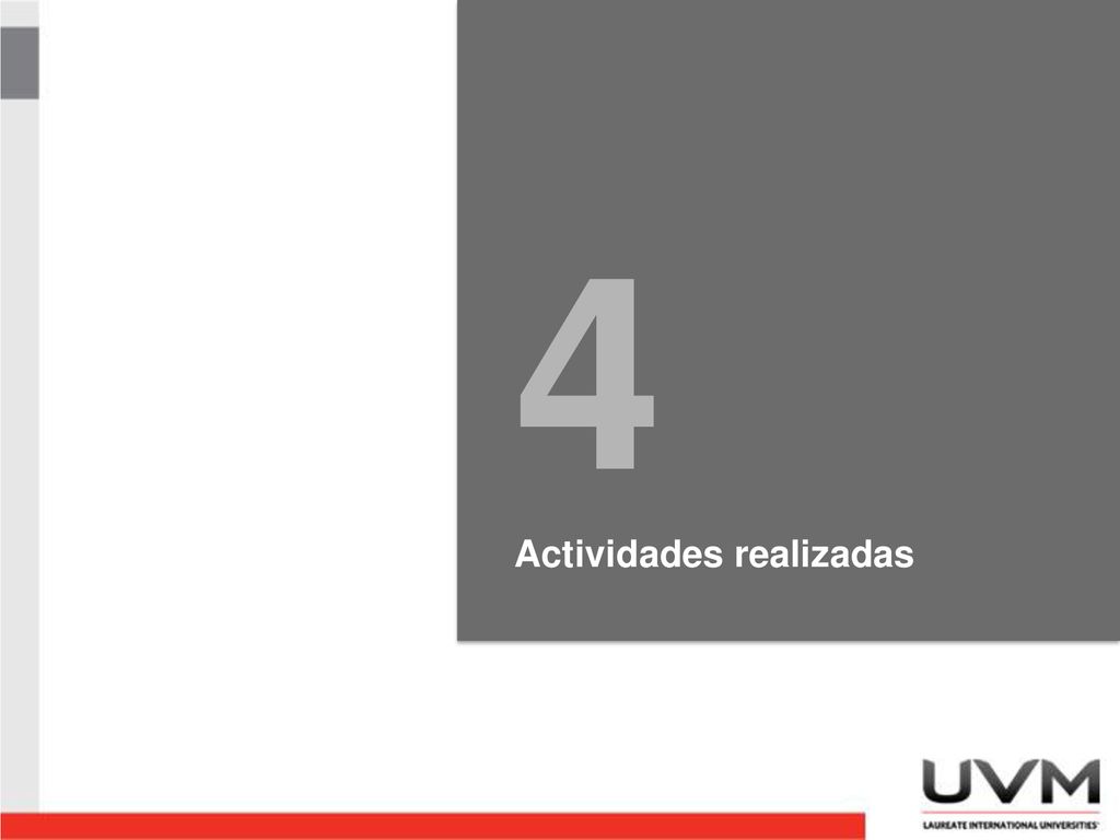 4 Actividades realizadas