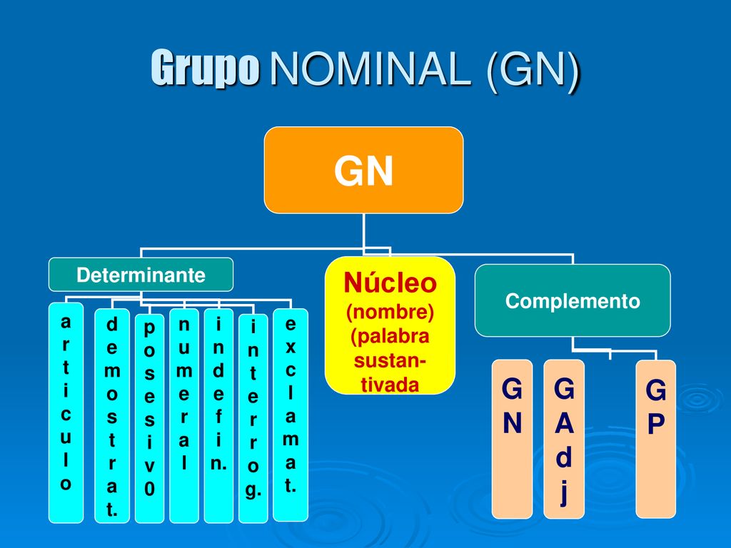 Grupo NOMINAL (GN) GN Núcleo G P A d j N Determinante (nombre)