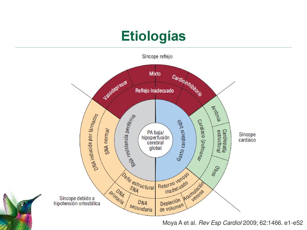 Etiologías Moya A et al. Rev Esp Cardiol 2009; 62:1466. e1-e52