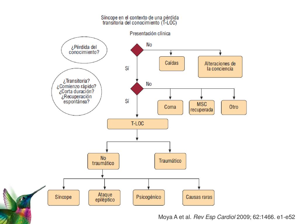 Moya A et al. Rev Esp Cardiol 2009; 62:1466. e1-e52