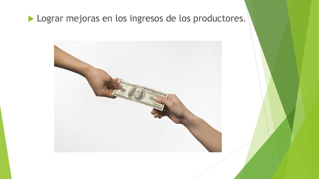 Lograr mejoras en los ingresos de los productores.