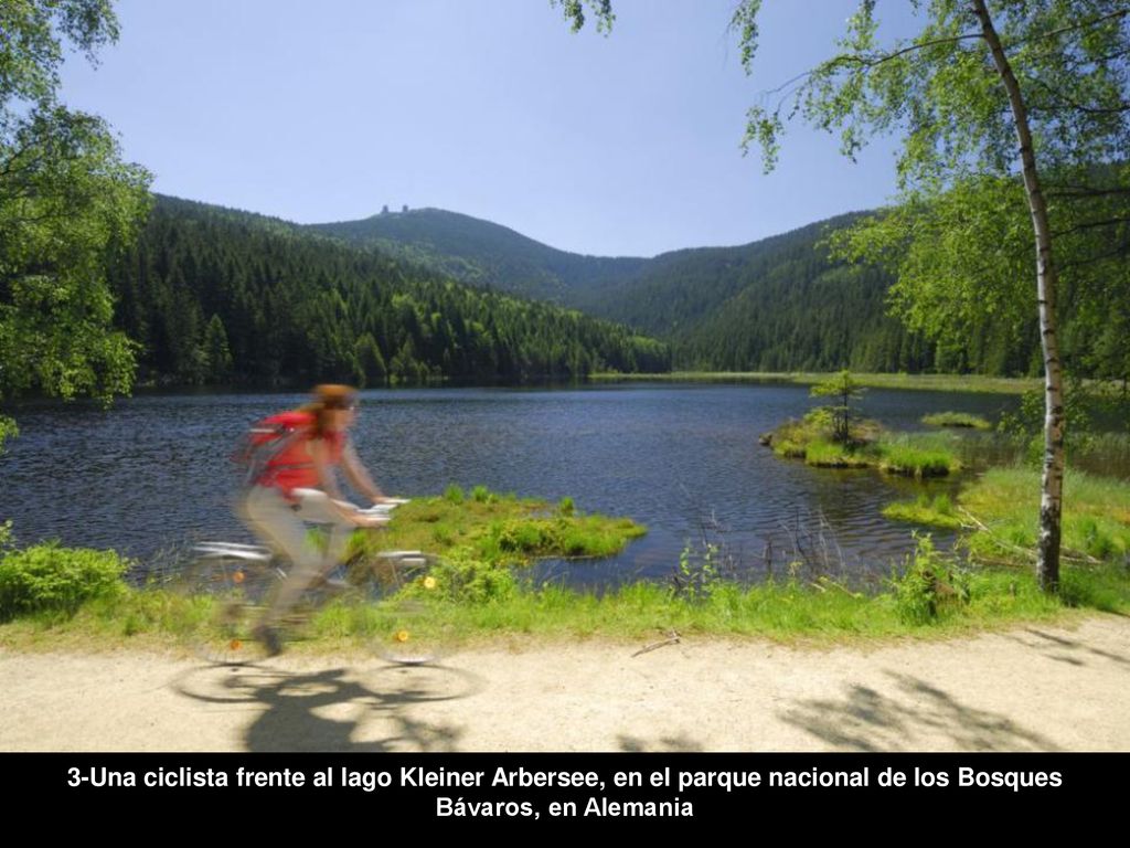 3-Una ciclista frente al lago Kleiner Arbersee, en el parque nacional de los Bosques Bávaros, en Alemania