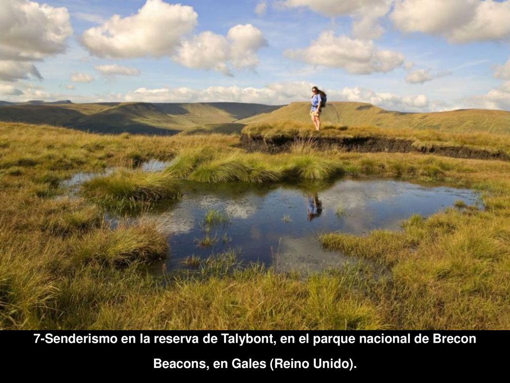 7-Senderismo en la reserva de Talybont, en el parque nacional de Brecon Beacons, en Gales (Reino Unido).