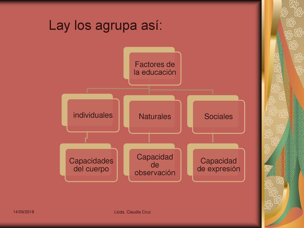 Lay los agrupa así: Factores de la educación individuales