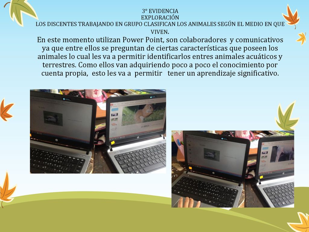 3° EVIDENCIA EXPLORACIÓN LOS DISCENTES TRABAJANDO EN GRUPO CLASIFICAN LOS ANIMALES SEGÚN EL MEDIO EN QUE VIVEN.