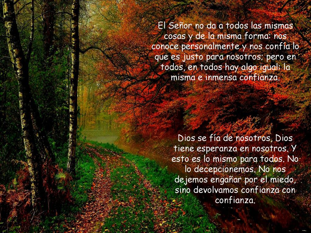 El Señor no da a todos las mismas cosas y de la misma forma: nos conoce personalmente y nos confía lo que es justo para nosotros; pero en todos, en todos hay algo igual: la misma e inmensa confianza.