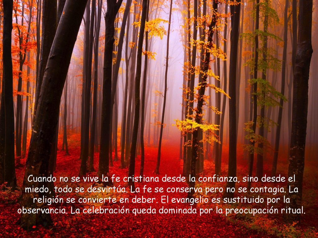 Cuando no se vive la fe cristiana desde la confianza, sino desde el miedo, todo se desvirtúa.