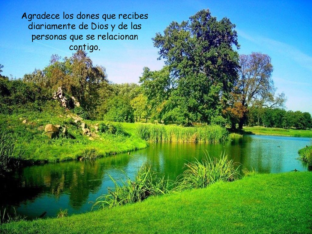 Agradece los dones que recibes diariamente de Dios y de las personas que se relacionan contigo.