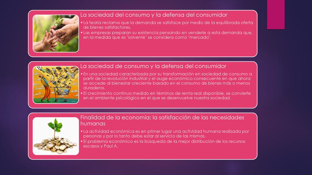 La sociedad del consumo y la defensa del consumidor