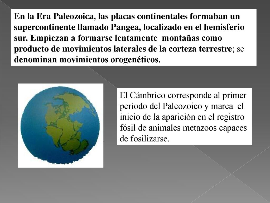 En la Era Paleozoica, las placas continentales formaban un supercontinente llamado Pangea, localizado en el hemisferio sur. Empiezan a formarse lentamente montañas como producto de movimientos laterales de la corteza terrestre; se denominan movimientos orogenéticos.