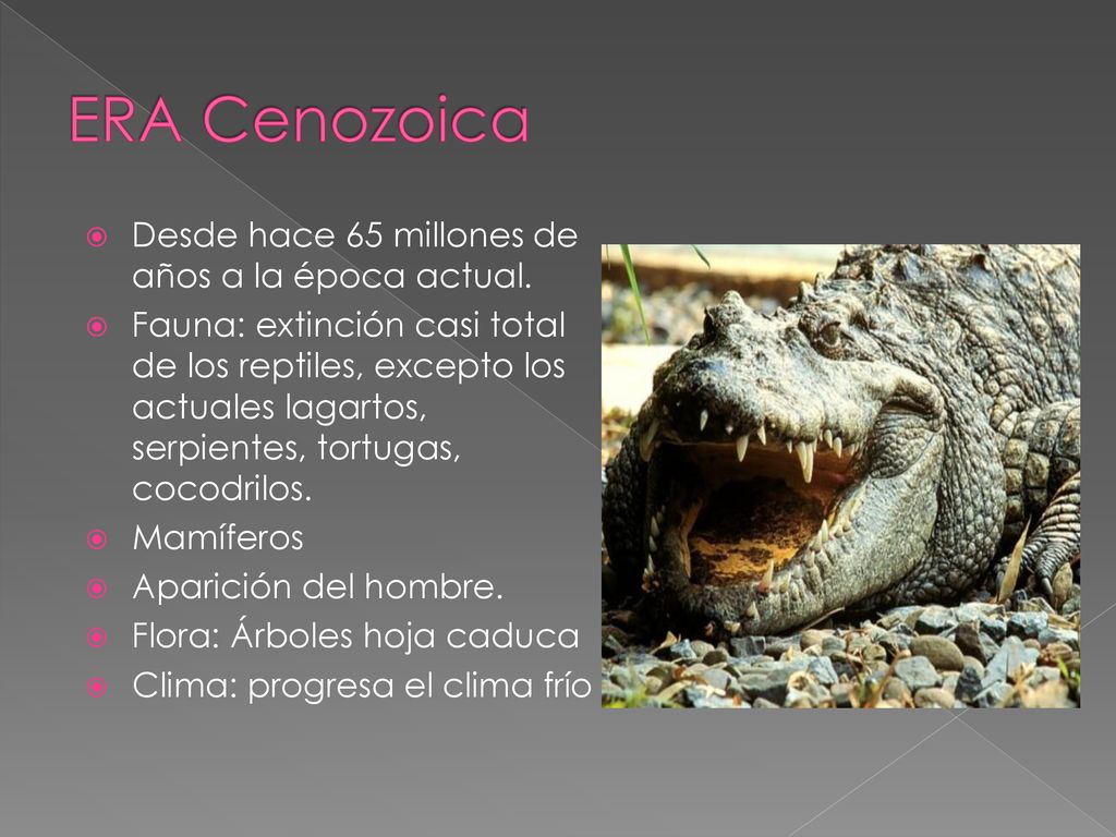 ERA Cenozoica Desde hace 65 millones de años a la época actual.