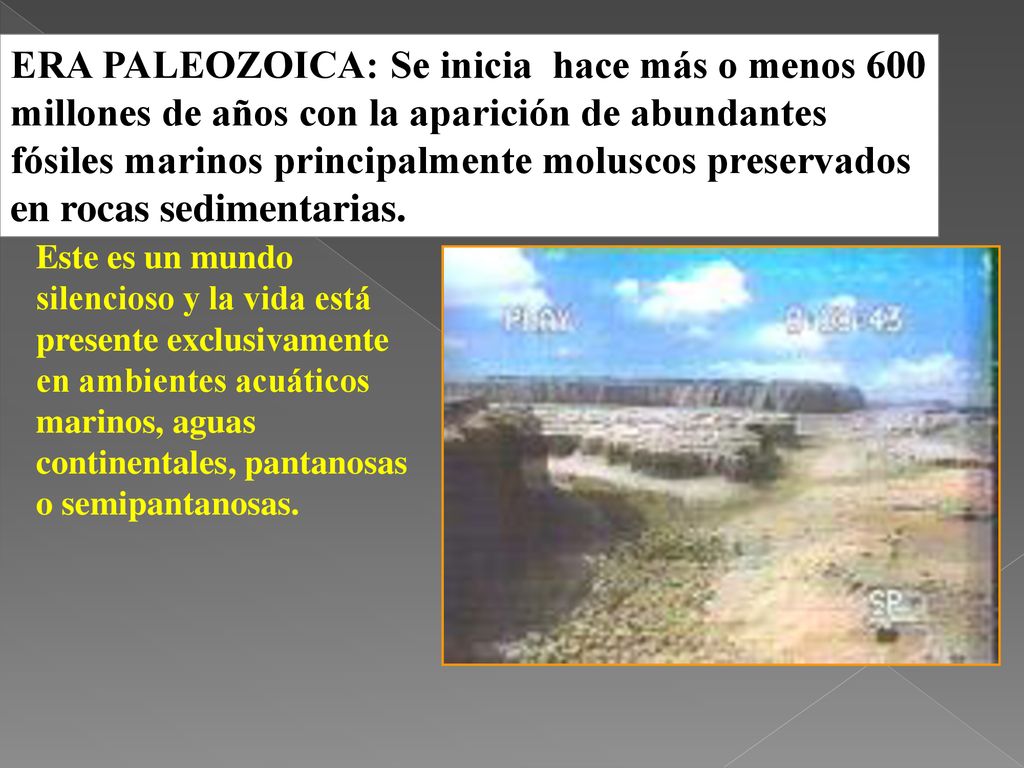 ERA PALEOZOICA: Se inicia hace más o menos 600 millones de años con la aparición de abundantes fósiles marinos principalmente moluscos preservados en rocas sedimentarias.