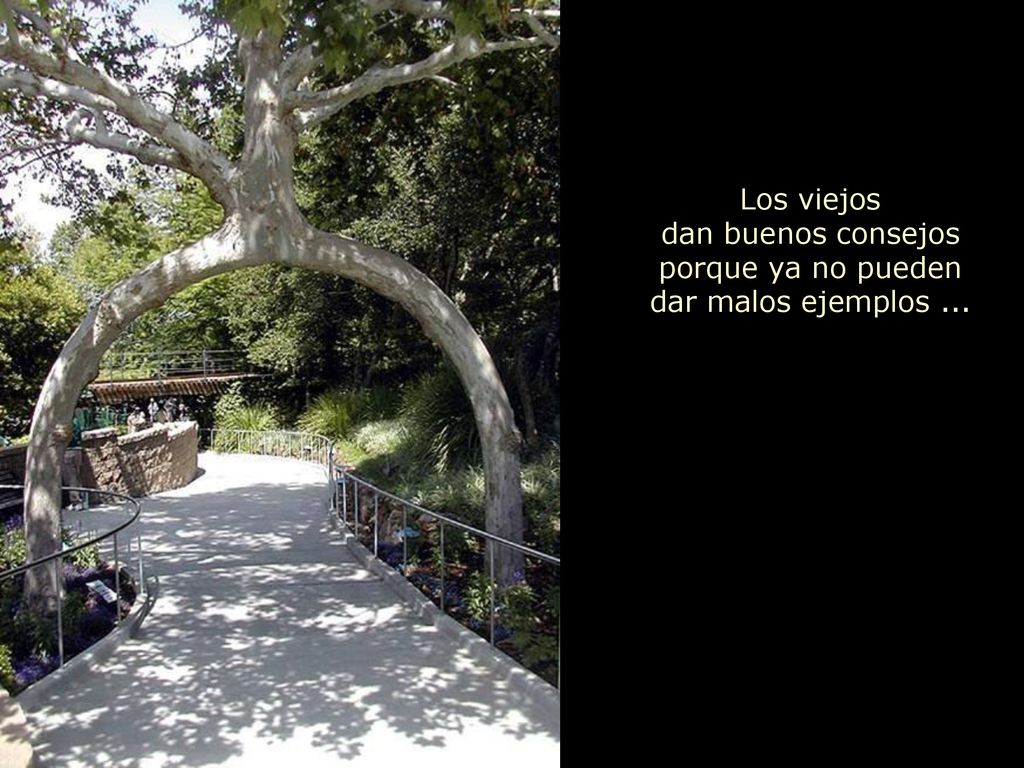 Los viejos dan buenos consejos porque ya no pueden dar malos ejemplos ...