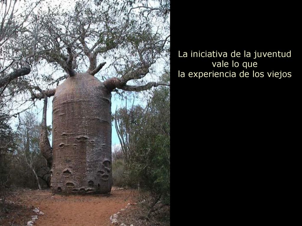 La iniciativa de la juventud vale lo que la experiencia de los viejos