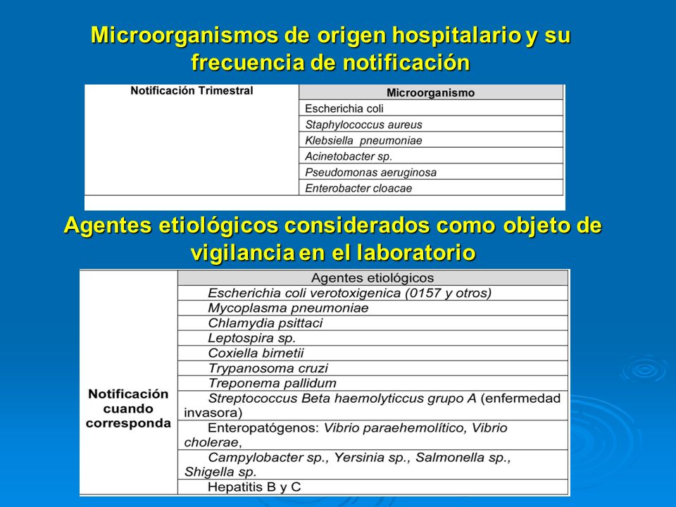 Microorganismos de origen hospitalario y su frecuencia de notificación