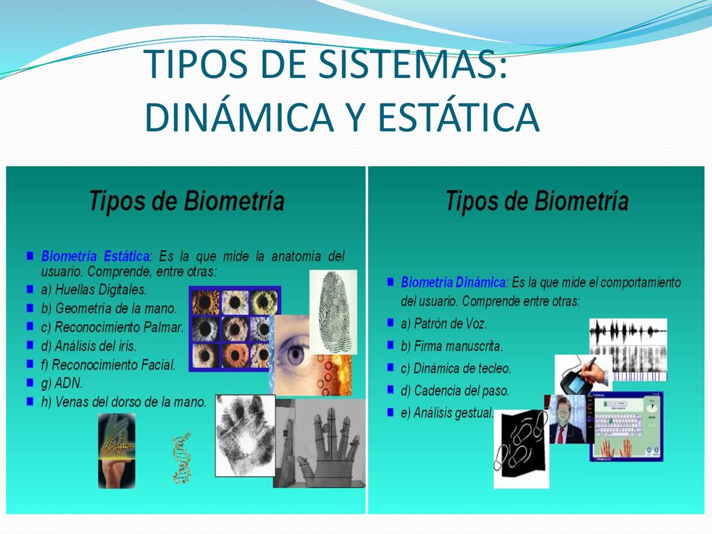 TIPOS DE SISTEMAS: DINÁMICA Y ESTÁTICA
