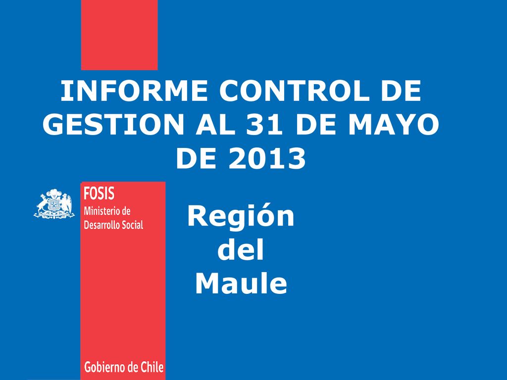 INFORME CONTROL DE GESTION AL 31 DE MAYO DE 2013