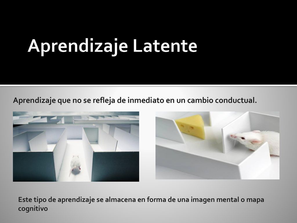 Aprendizaje Latente Aprendizaje que no se refleja de inmediato en un cambio conductual.