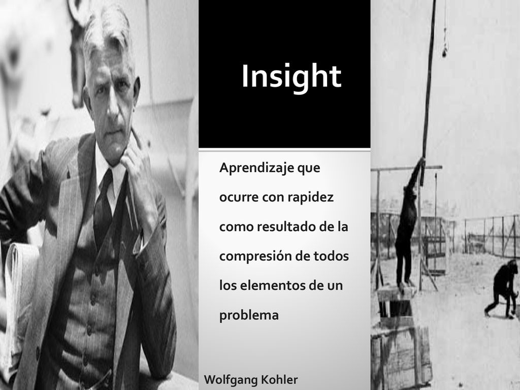 Insight Aprendizaje que ocurre con rapidez como resultado de la compresión de todos los elementos de un problema.