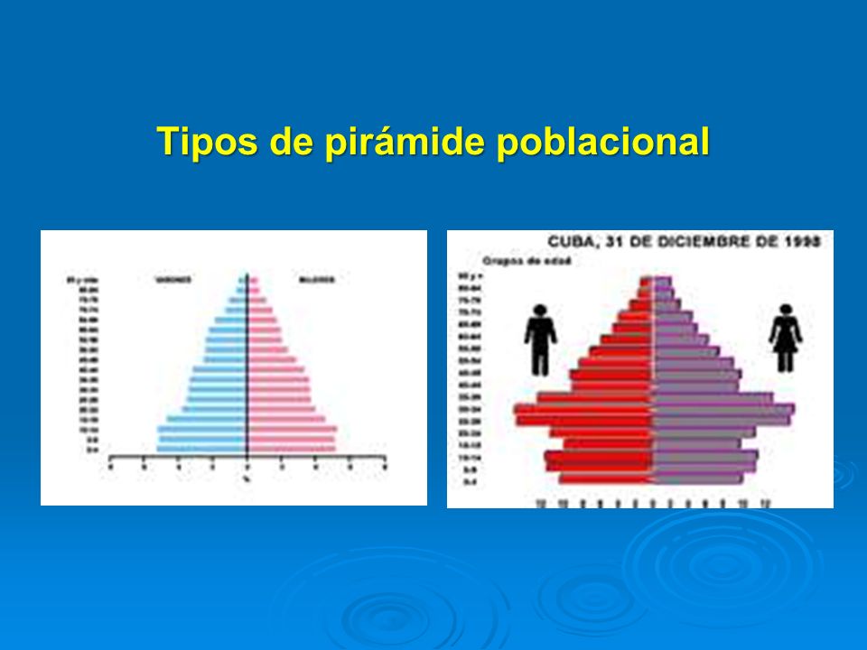 Tipos de pirámide poblacional