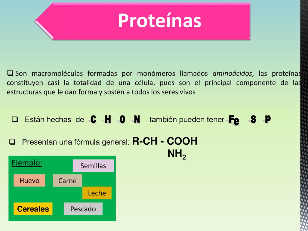 Proteínas NH2 C H O N F S p e Ejemplo:
