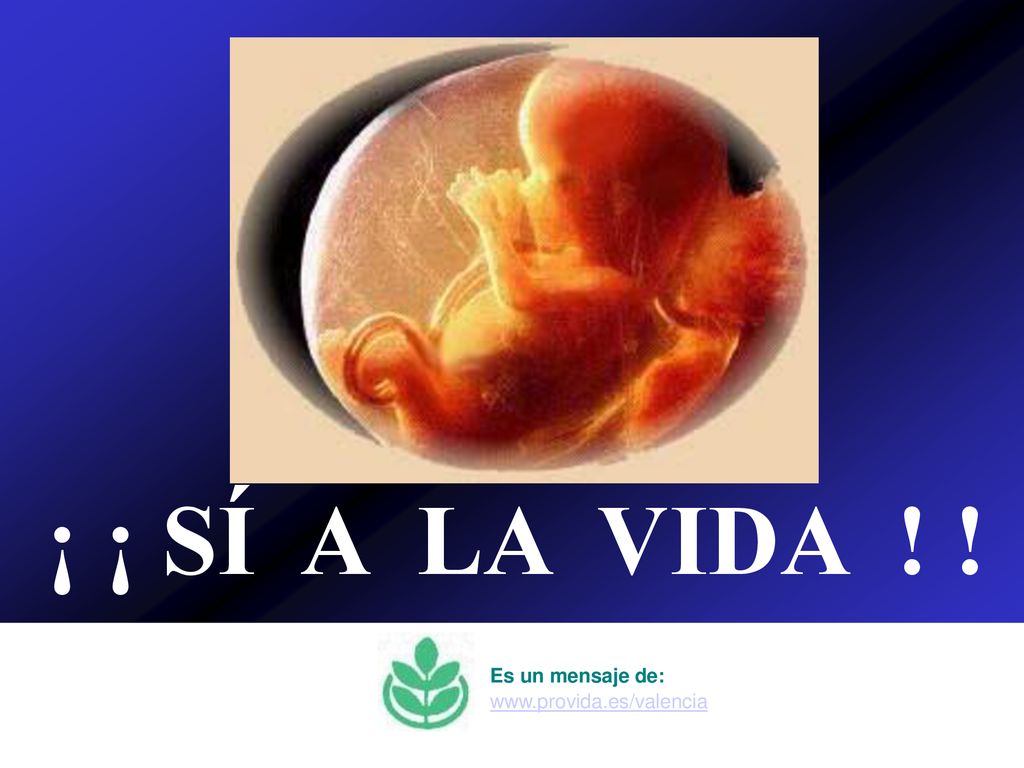 ¡ ¡ SÍ A LA VIDA ! ! Es un mensaje de: