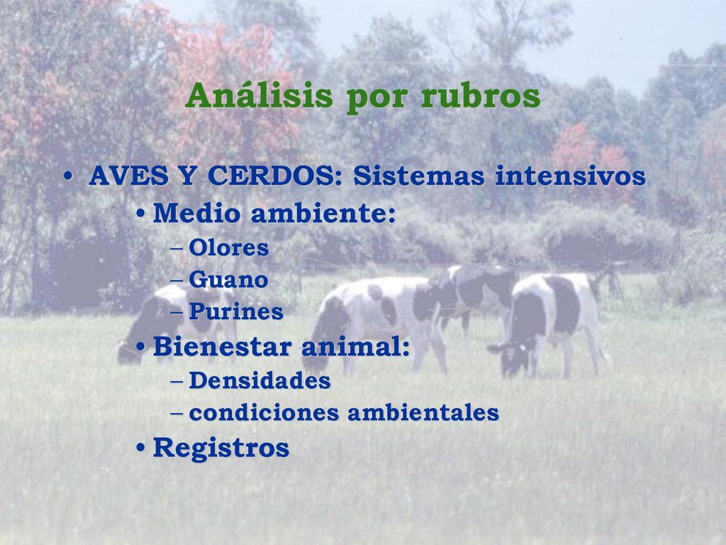 Análisis por rubros AVES Y CERDOS: Sistemas intensivos Medio ambiente: