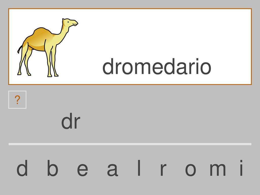 dromedario dr d b e a l r o m i