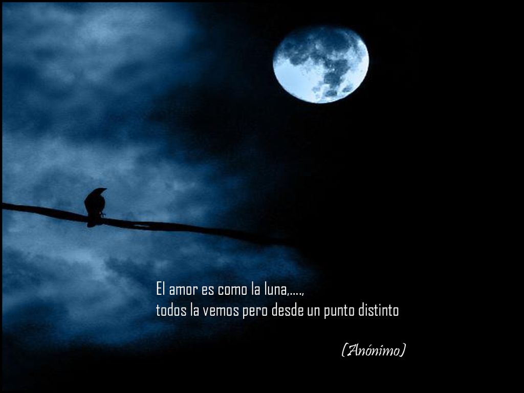 El amor es como la luna,…., todos la vemos pero desde un punto distinto (Anónimo)