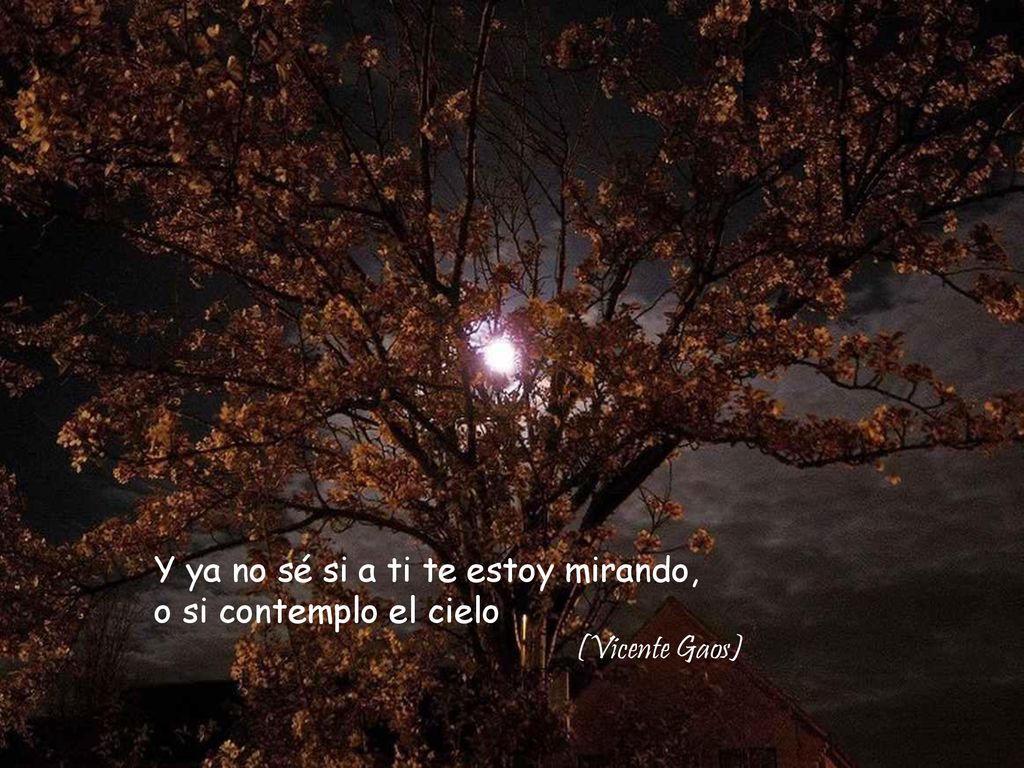 Y ya no sé si a ti te estoy mirando,