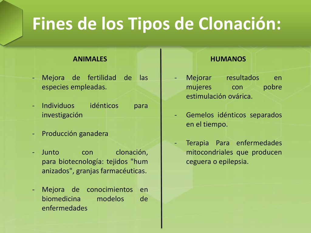 Fines de los Tipos de Clonación:
