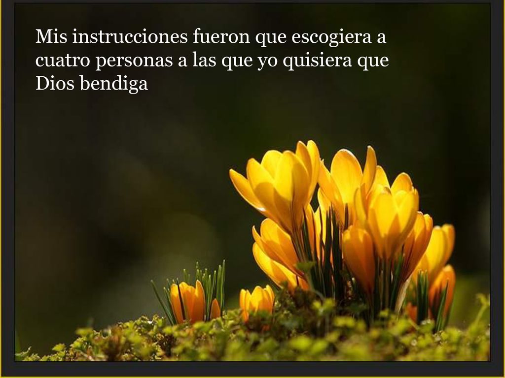 Mis instrucciones fueron que escogiera a cuatro personas a las que yo quisiera que Dios bendiga