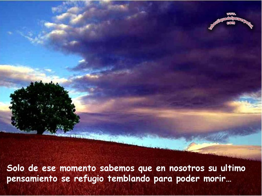 Solo de ese momento sabemos que en nosotros su ultimo pensamiento se refugio temblando para poder morir…