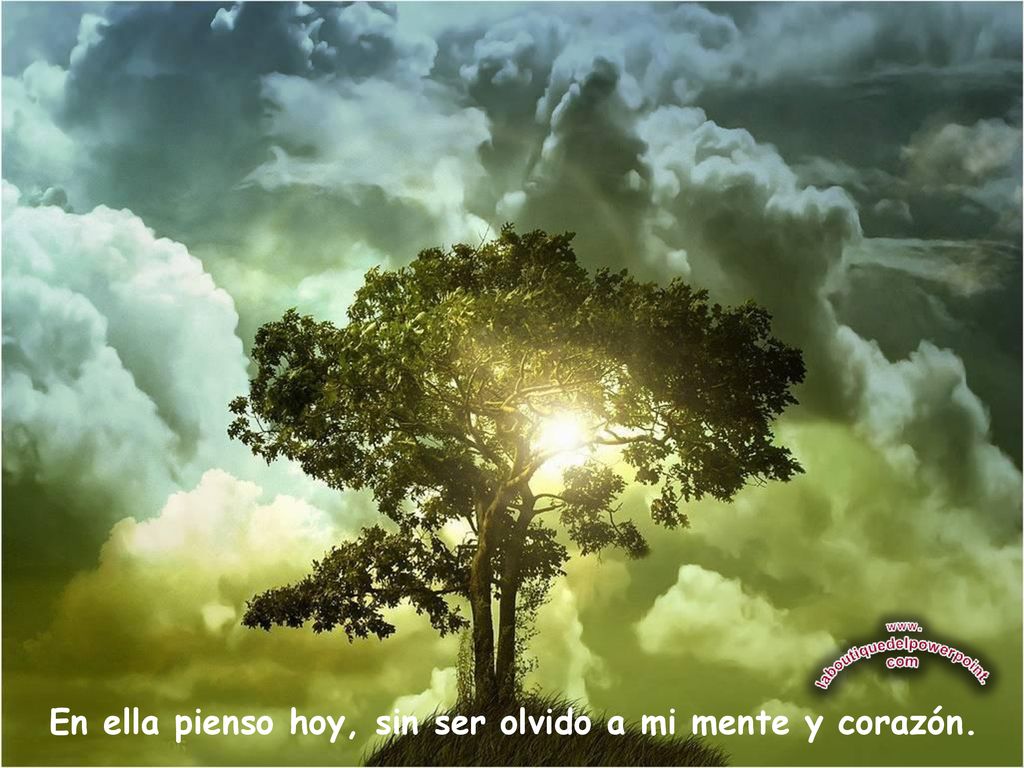 En ella pienso hoy, sin ser olvido a mi mente y corazón.