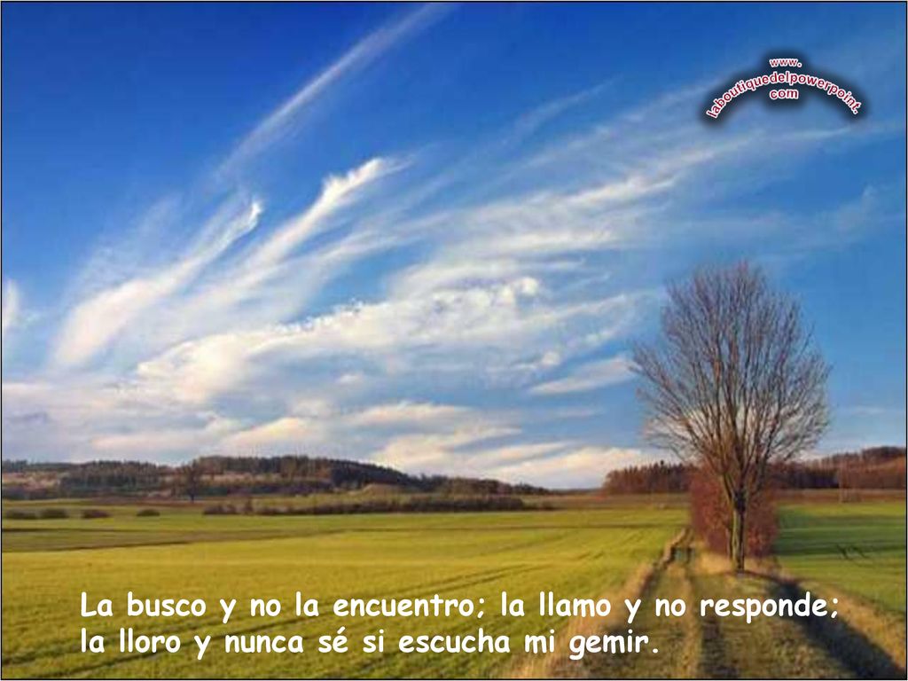 La busco y no la encuentro; la llamo y no responde; la lloro y nunca sé si escucha mi gemir.