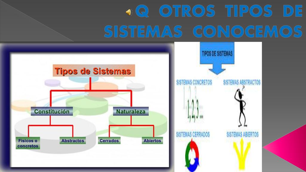 Q OTROS TIPOS DE SISTEMAS CONOCEMOS