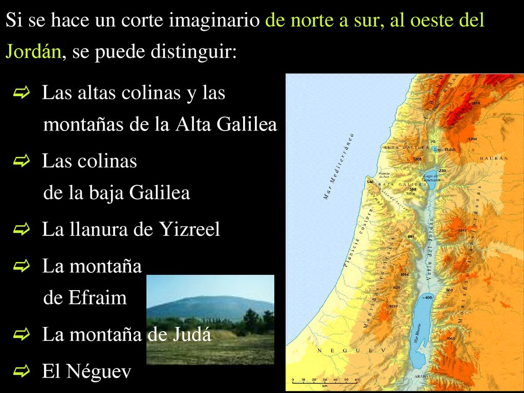 Si se hace un corte imaginario de norte a sur, al oeste del Jordán, se puede distinguir: