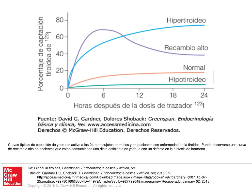 Curvas típicas de captación de yodo radiactivo a las 24 h en sujetos normales y en pacientes con enfermedad de la tiroides. Puede observarse una curva de recambio alto en pacientes que están consumiendo una dieta deficiente en yodo, o con un defecto en la síntesis de hormona.