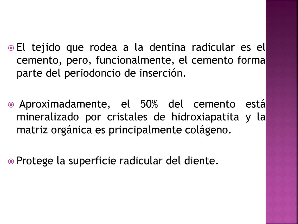 El tejido que rodea a la dentina radicular es el cemento, pero, funcionalmente, el cemento forma parte del periodoncio de inserción.