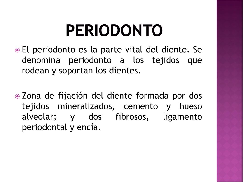 Periodonto El periodonto es la parte vital del diente. Se denomina periodonto a los tejidos que rodean y soportan los dientes.