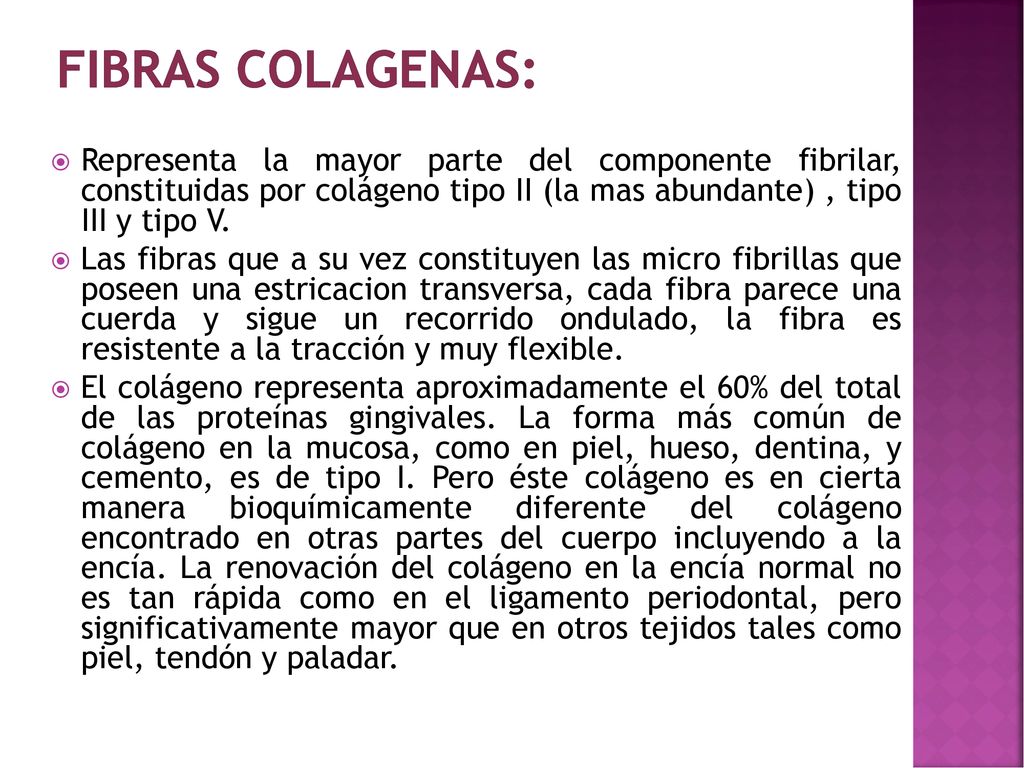 FIBRAS COLAGENAS: Representa la mayor parte del componente fibrilar, constituidas por colágeno tipo II (la mas abundante) , tipo III y tipo V.