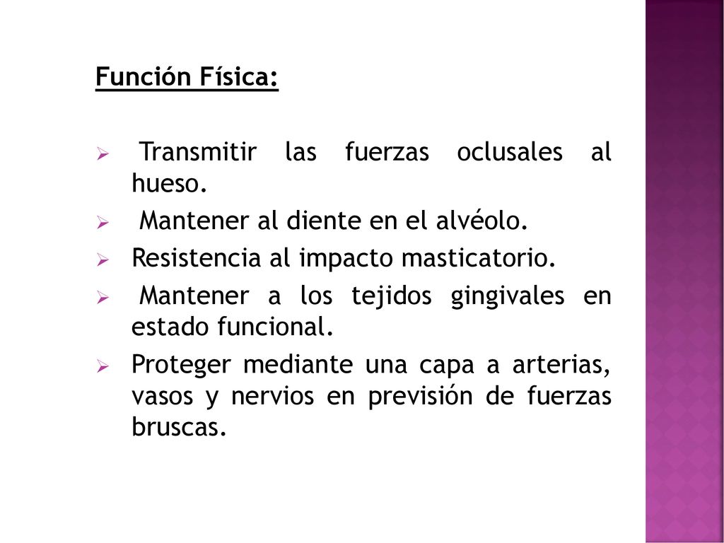 Función Física: Transmitir las fuerzas oclusales al hueso. Mantener al diente en el alvéolo. Resistencia al impacto masticatorio.