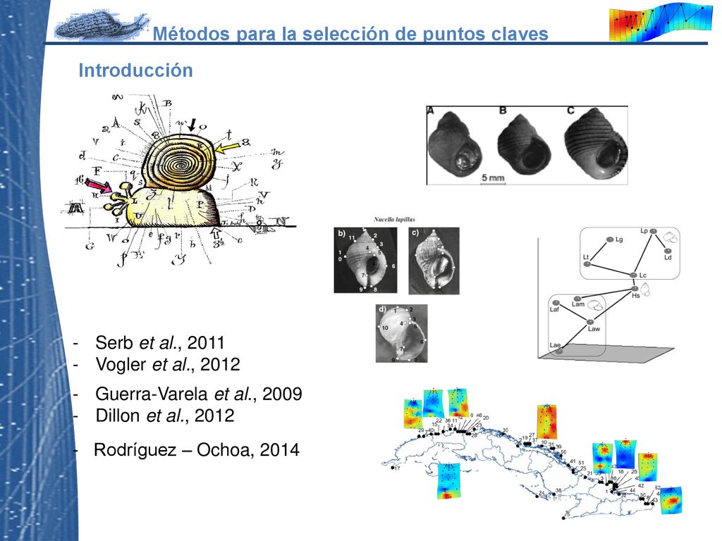 Serb et al., 2011 Vogler et al., 2012 Guerra-Varela et al., 2009
