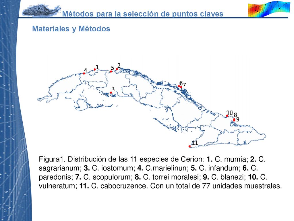 El estudio se realizó con 11 especies del género Cerium, siendo representadas las tres regiones del país y trabajando en total con 77 individuos