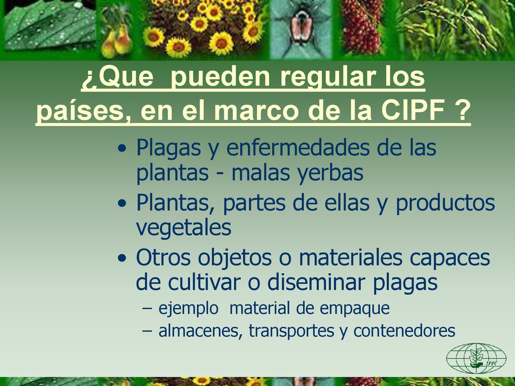¿Que pueden regular los países, en el marco de la CIPF