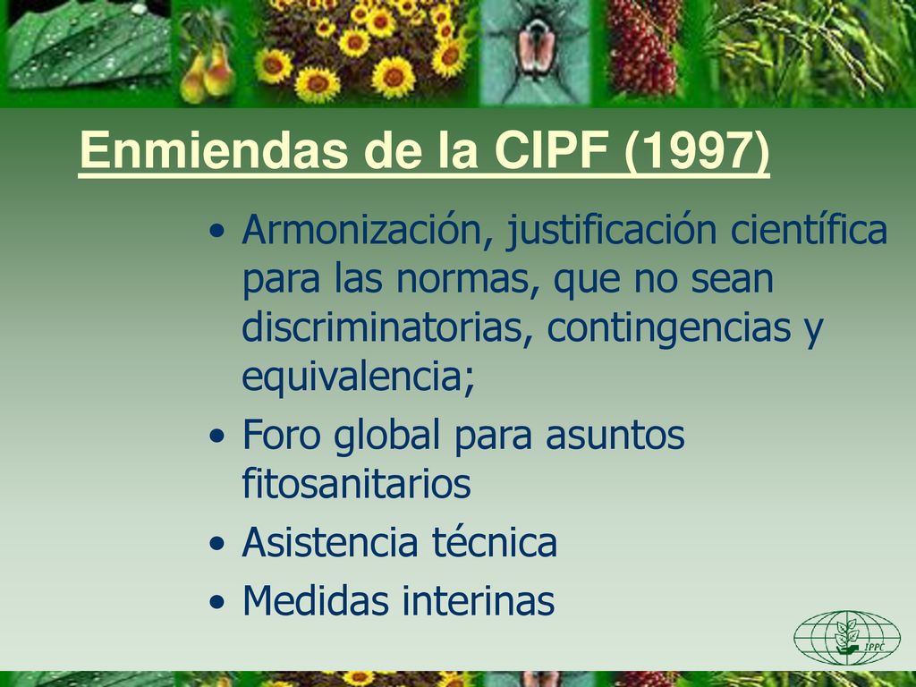 Enmiendas de la CIPF (1997) Armonización, justificación científica para las normas, que no sean discriminatorias, contingencias y equivalencia;